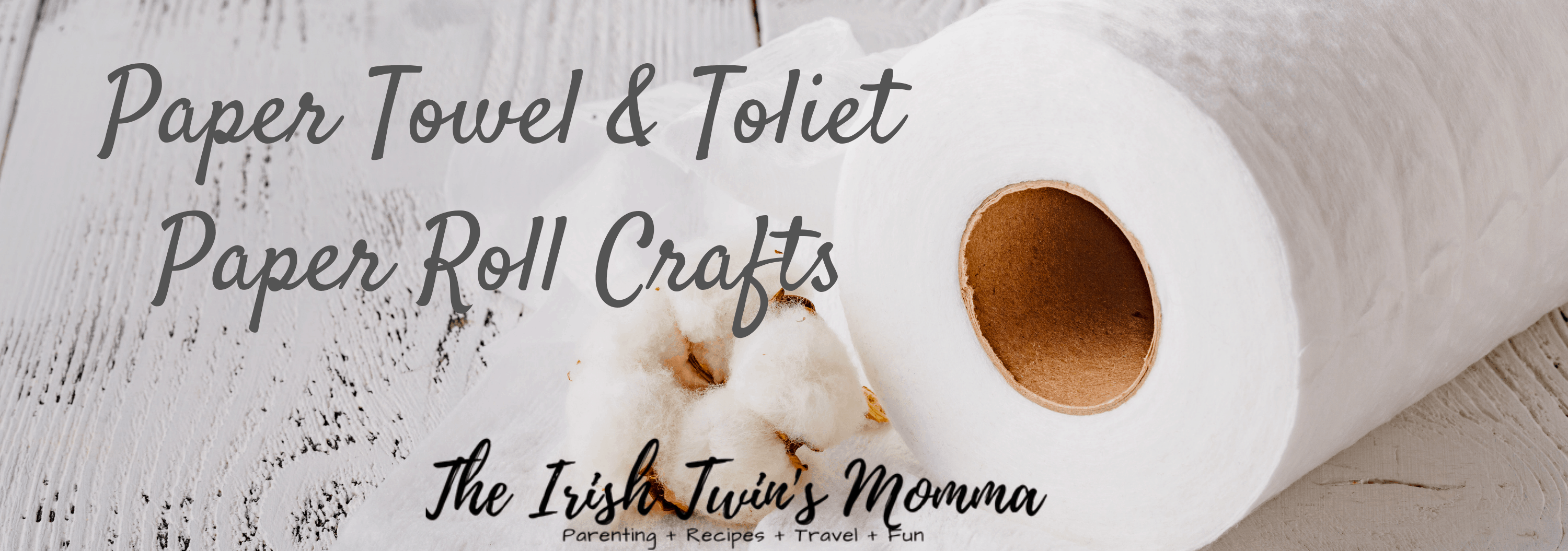 Paper Towel Roll Crafts and Toilet Paper Roll Crafts - The Irish Twins ...