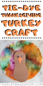 Tie Dye Turkey Craft