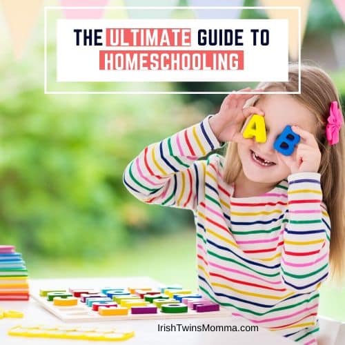 The Ultimate Guide to Homeschooling - The Irish Twins Momma
