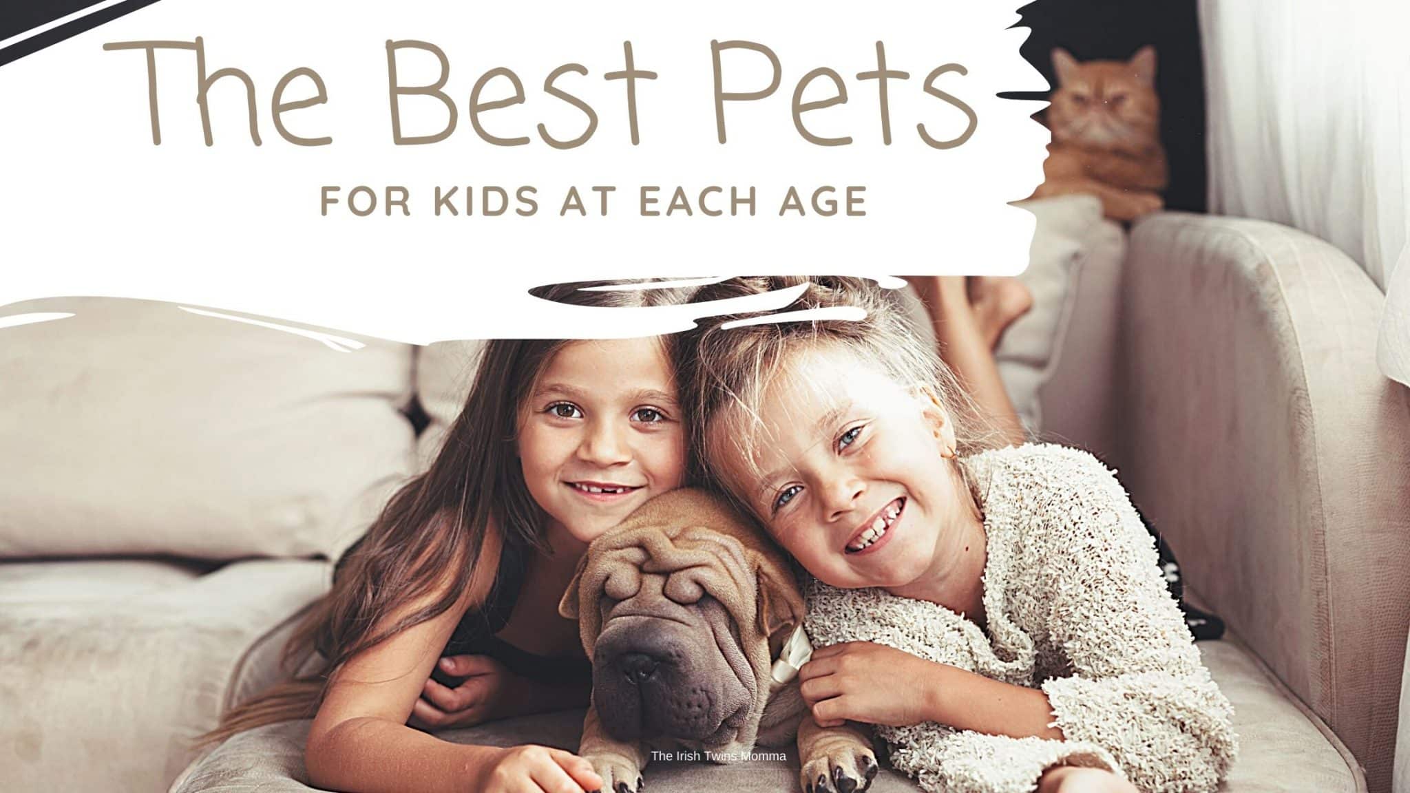 Best Pets for Kids