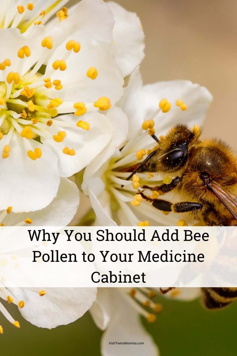 Why You Should Add Bee Pollen to Your Medicine Cabinet