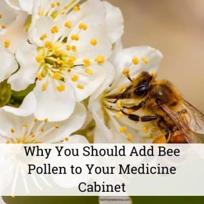 Why You Should Add Bee Pollen to Your Medicine Cabinet
